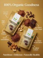 SPROUTED RAGI  CHOCO MALT - Image 2